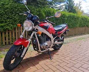 Suzuki GS 500 Gebrauchtwagen