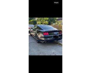 Ford Mustang Gebrauchtwagen