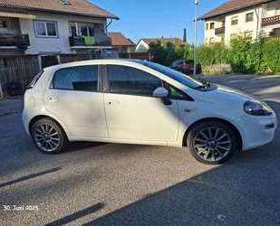 Fiat Punto Gebrauchtwagen