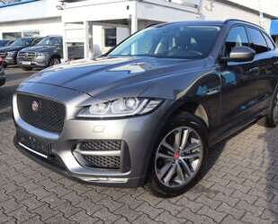 Jaguar F-Pace Gebrauchtwagen