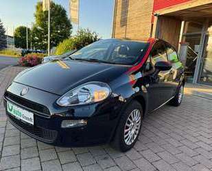 Fiat Punto Gebrauchtwagen