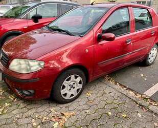 Fiat Punto Gebrauchtwagen