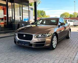 Jaguar XE Gebrauchtwagen