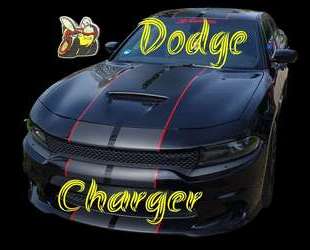Dodge Charger Gebrauchtwagen