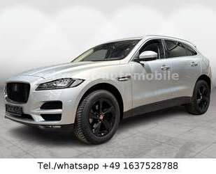 Jaguar F-Pace Gebrauchtwagen