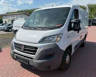 Fiat Ducato Gebrauchtwagen