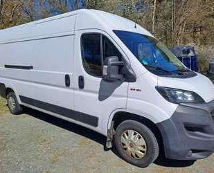 Fiat Ducato Gebrauchtwagen