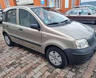 Fiat Panda Gebrauchtwagen