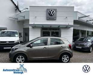 Kia Picanto Gebrauchtwagen