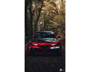 Alfa Romeo Giulia Gebrauchtwagen