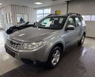 Subaru Forester Gebrauchtwagen