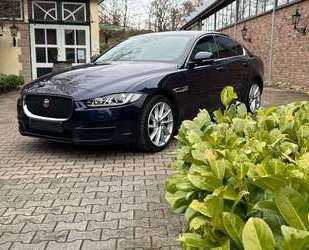 Jaguar XE Gebrauchtwagen