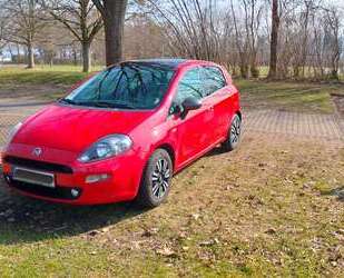 Fiat Punto Gebrauchtwagen