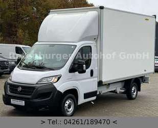 Fiat Ducato Gebrauchtwagen