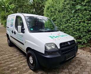 Fiat Doblo Gebrauchtwagen
