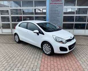 Kia Rio Gebrauchtwagen