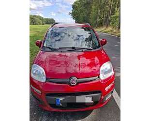 Fiat Panda Gebrauchtwagen