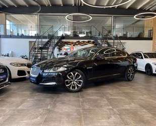 Jaguar XF Gebrauchtwagen
