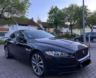 Jaguar XE Gebrauchtwagen
