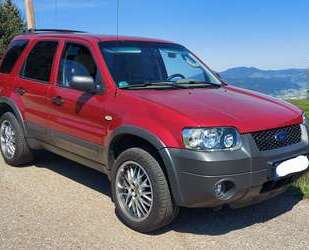 Ford Maverick Gebrauchtwagen
