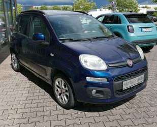 Fiat New Panda Gebrauchtwagen