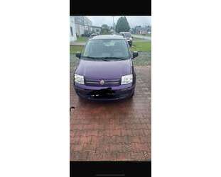 Fiat Panda Gebrauchtwagen