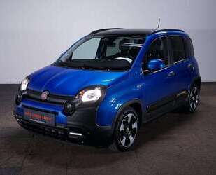 Fiat Panda Gebrauchtwagen