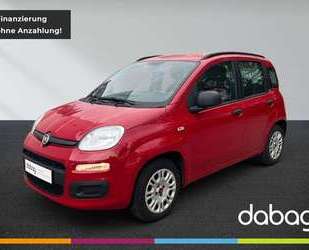 Fiat Panda Gebrauchtwagen