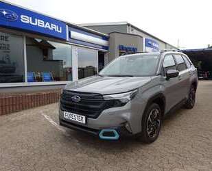 Subaru Forester Gebrauchtwagen