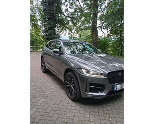 Jaguar F-Pace Gebrauchtwagen