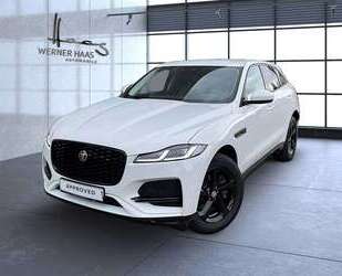 Jaguar F-Pace Gebrauchtwagen