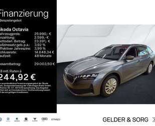Skoda Octavia Gebrauchtwagen