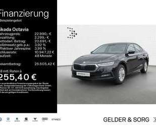 Skoda Octavia Gebrauchtwagen