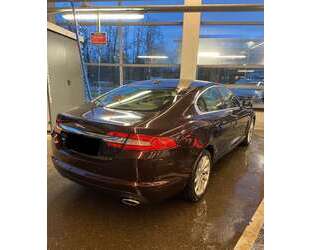 Jaguar XF Gebrauchtwagen