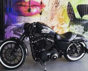 Harley Davidson Iron 883 Gebrauchtwagen