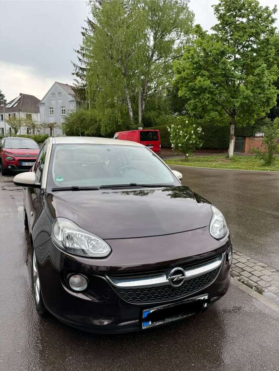 Bild 1