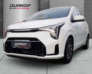 Kia Picanto Gebrauchtwagen