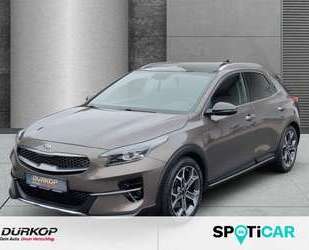 Kia XCeed Gebrauchtwagen