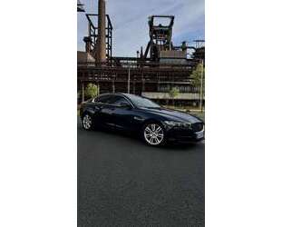 Jaguar XE Gebrauchtwagen