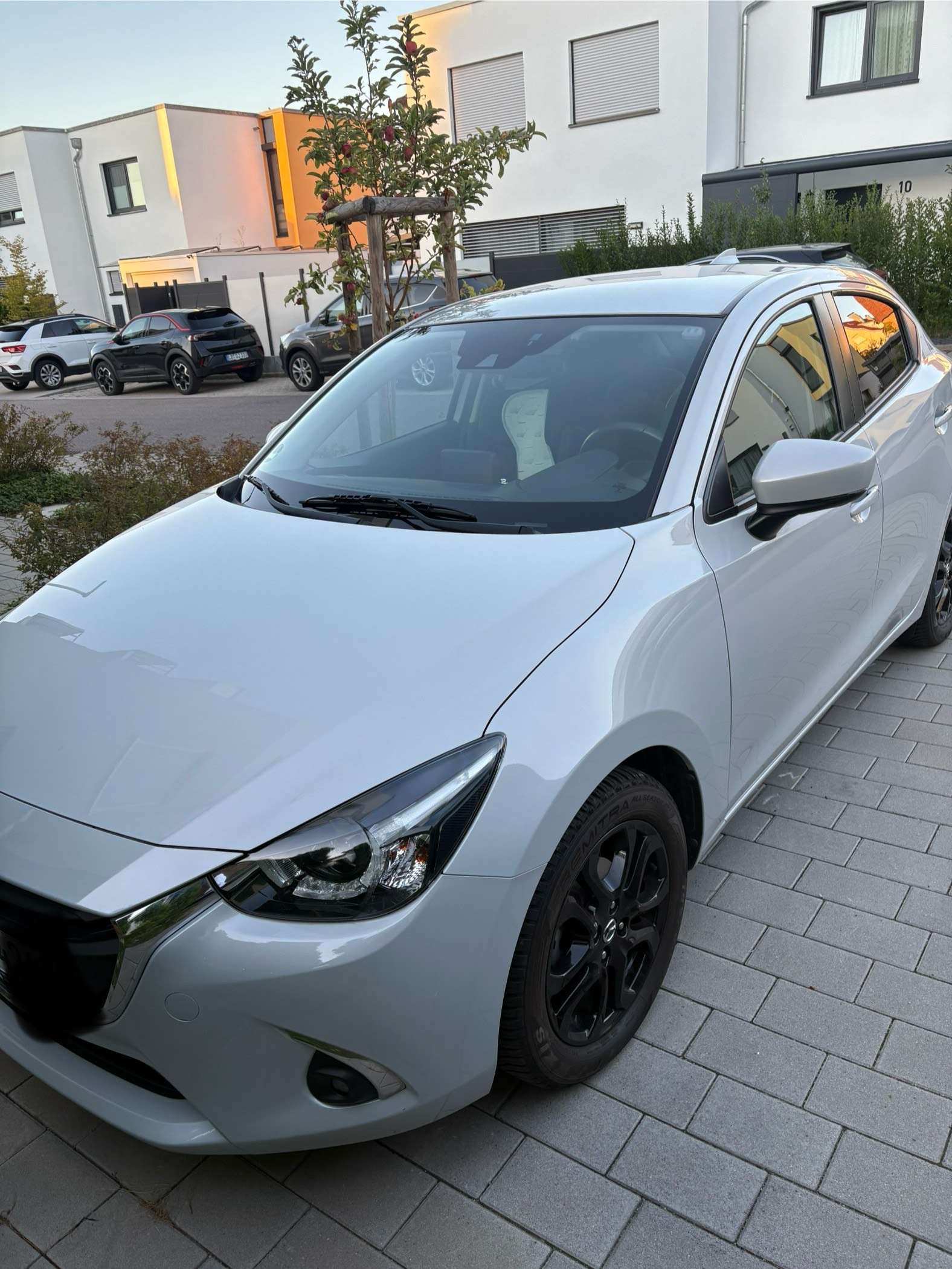 Bild 1