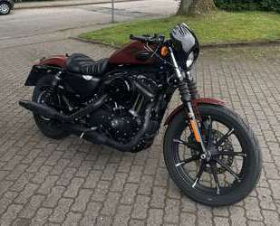 Harley Davidson Sportster 883 Gebrauchtwagen