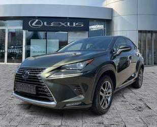 Lexus NX 300 Gebrauchtwagen