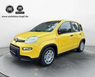 Fiat Panda Gebrauchtwagen