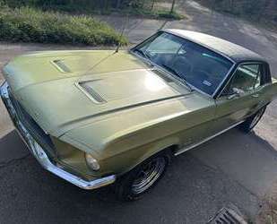 Ford Mustang Gebrauchtwagen