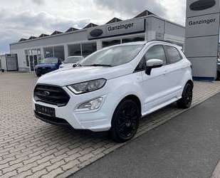 Ferrari EcoSport 