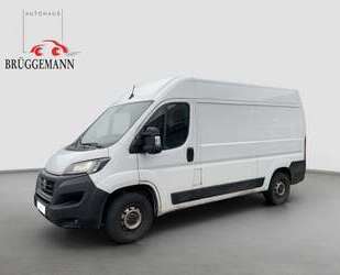 Fiat Ducato Gebrauchtwagen