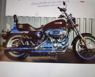 Harley Davidson 1200 Custom Gebrauchtwagen