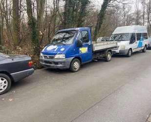 Fiat Ducato Gebrauchtwagen