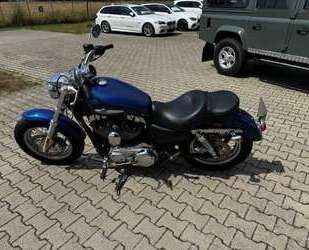 Harley Davidson 1200 Custom Gebrauchtwagen