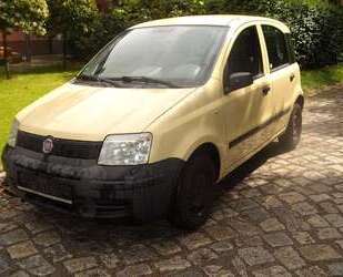 Fiat Panda Gebrauchtwagen